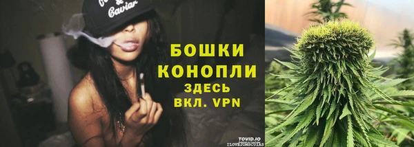 твердый Арсеньев