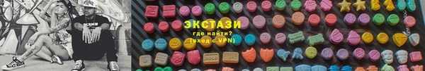 твердый Арсеньев