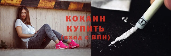 твердый Арсеньев