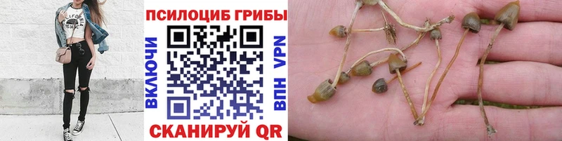 Псилоцибиновые грибы ЛСД  Северо-Курильск 